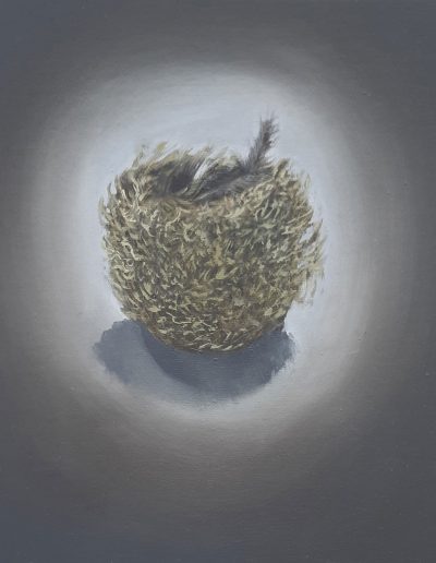 Blue Tit's Nest with Feathers, Oil on Canvas, 30cm x 30cm x 3,5cm (unframed)