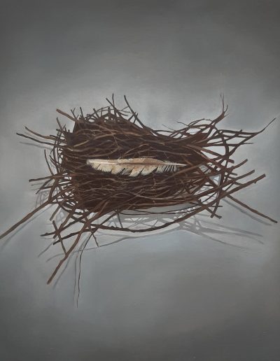 Collared Dove's Nest with Feather, Oil on Canvas, 70cm x 70cm (unframed)