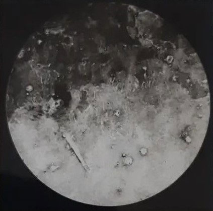Grandmother Moon, Collagraph Print, 10cm x 10cm (unframed)